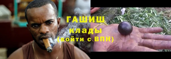 прущие грибы Волосово