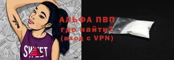 прущие грибы Волосово