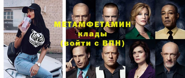 прущие грибы Волосово