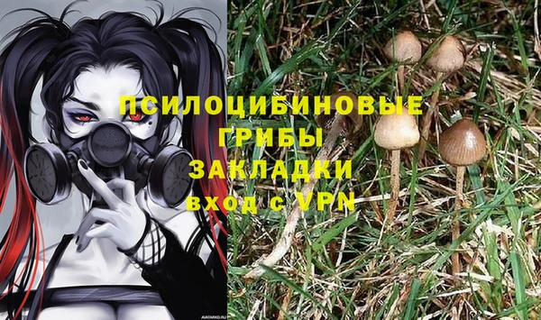 кристаллы Богородск