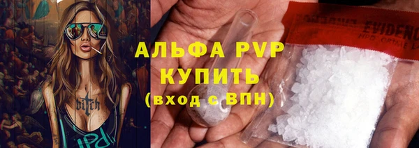 прущие грибы Волосово
