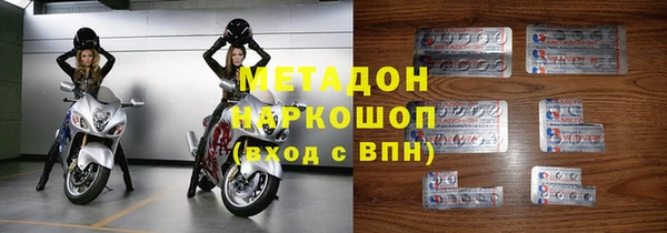 прущие грибы Волосово