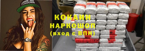 прущие грибы Волосово